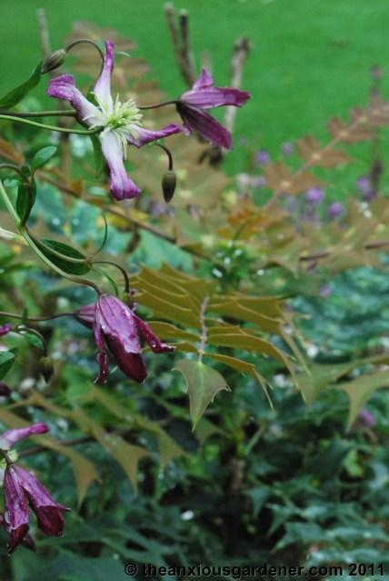 Priory Picture Post # 15