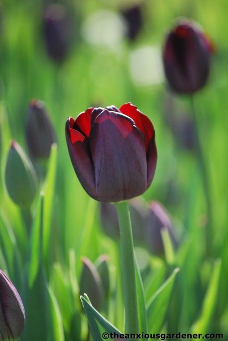 Summer’s Almost Over …