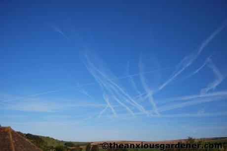 Summer’s Almost Over …