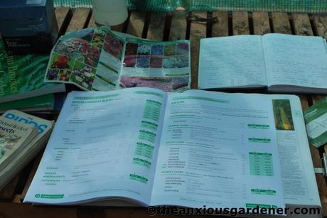 Summer’s Almost Over …