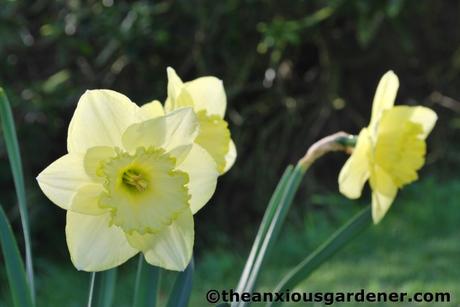 Summer’s Almost Over …