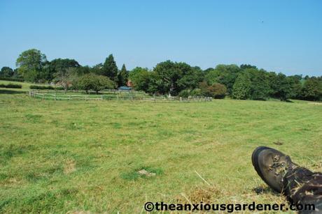 Shaving the Meadow