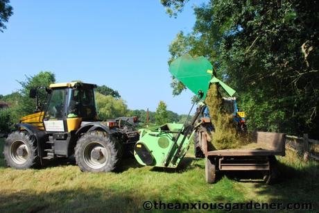 Shaving the Meadow