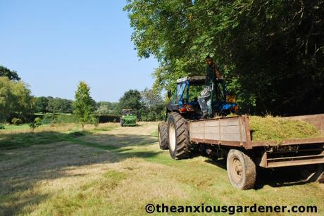 Shaving the Meadow