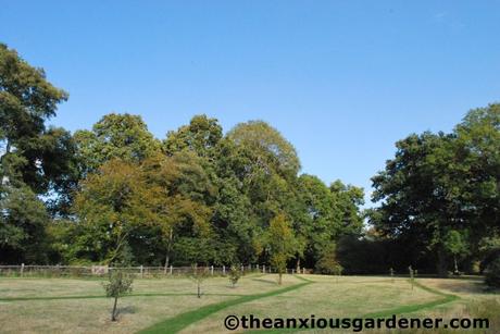 Shaving the Meadow
