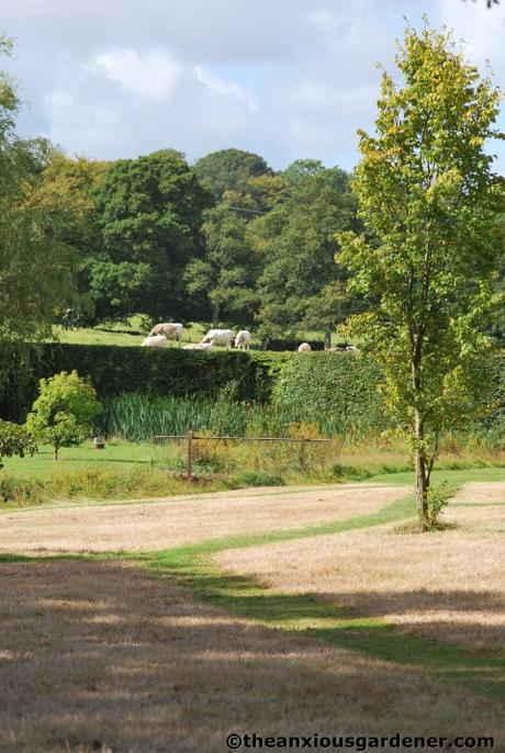 Shaving the Meadow
