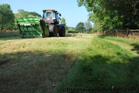 Shaving the Meadow