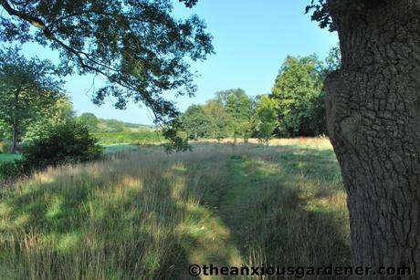 Shaving the Meadow