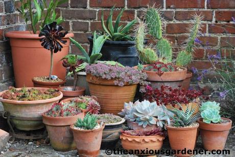 Priory Picture Post # 13