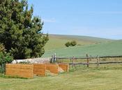 Composting Priory