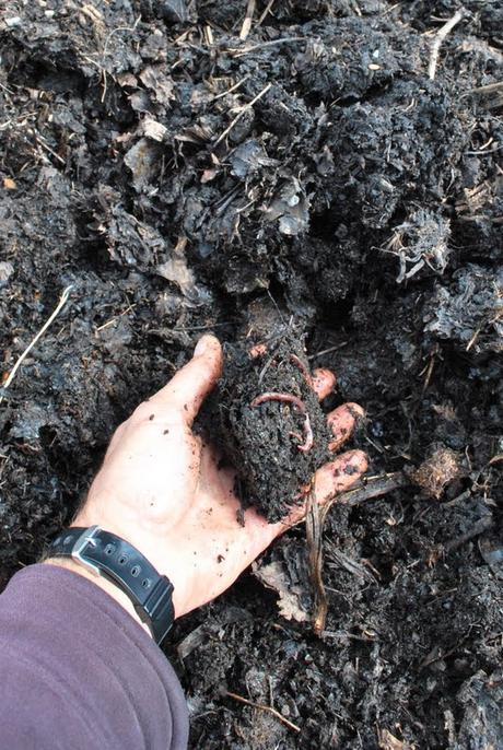 Composting the Priory