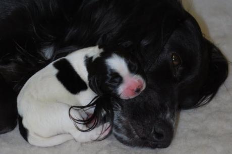 New Life and Poppy’s Triumph