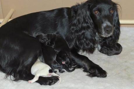 New Life and Poppy’s Triumph