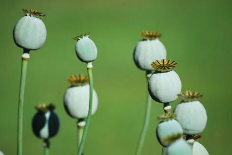 Help Needed. Apply Within.