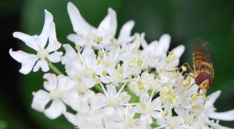 Help Needed. Apply Within.