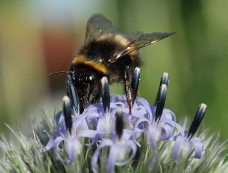 Help Needed. Apply Within.