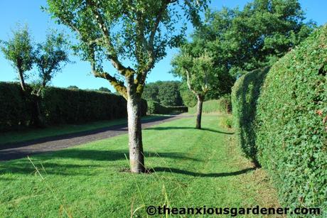 The Mixed Hedging