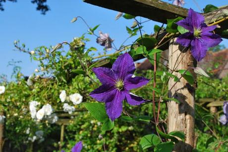 A Walk About The Priory