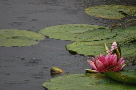 A Walk About The Priory