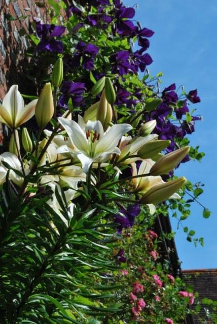 A Walk About The Priory