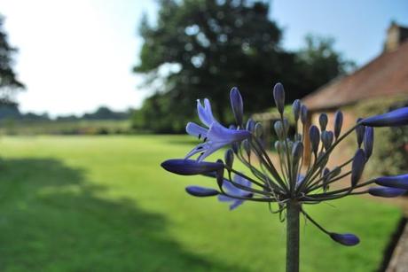 A Walk About The Priory