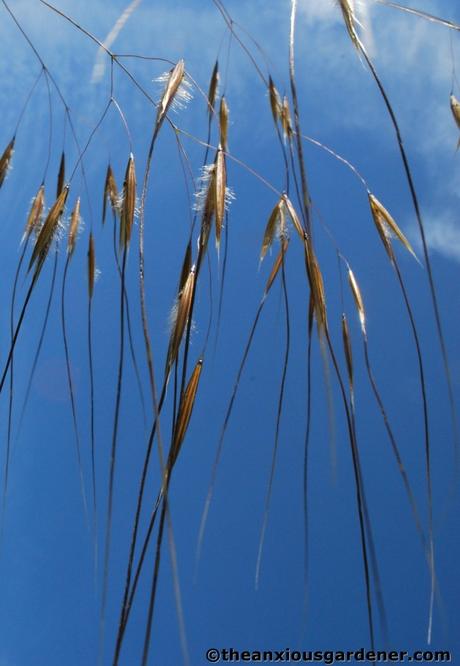 Priory Picture Post # 8