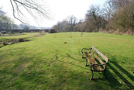 The Flower Meadow …