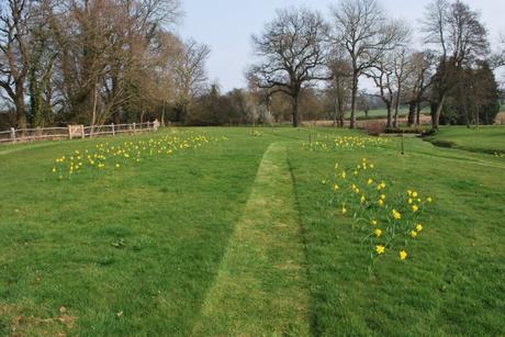 The Flower Meadow …