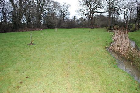 The Flower Meadow …
