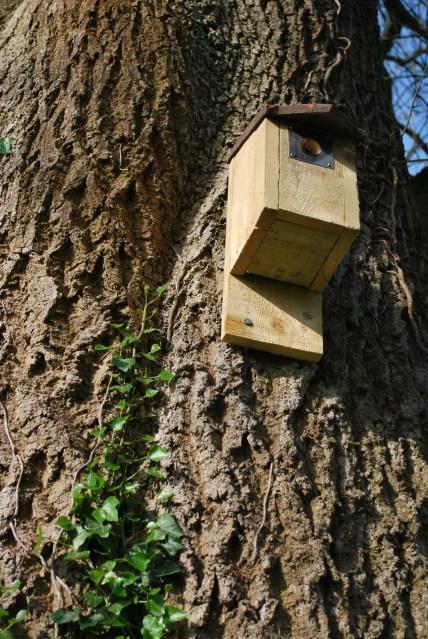 Sheesh. I Don’t Know Why I Bother