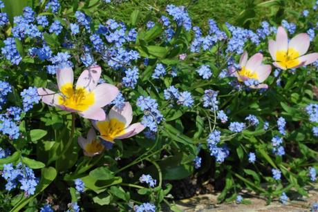 Blooming Priory 2