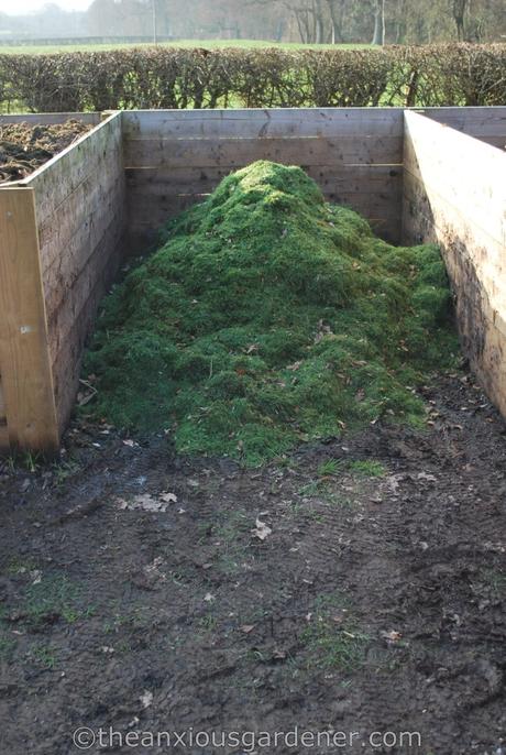 Super Evolving Foxgloves