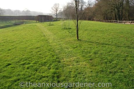 Super Evolving Foxgloves