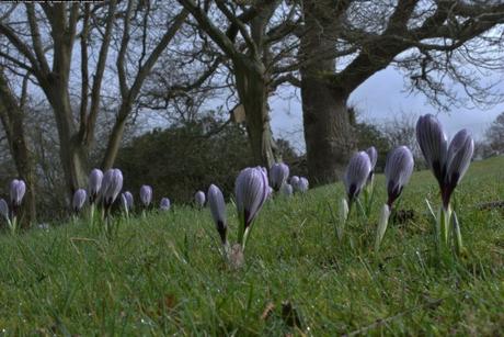 Freeloading Ne’er-do-wells