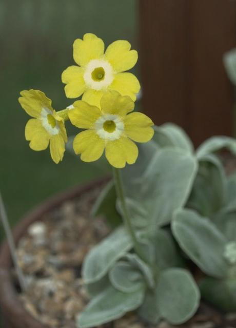 Freeloading Ne’er-do-wells