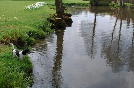 Freeloading Ne’er-do-wells