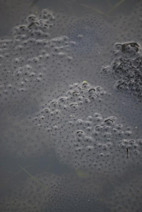 Freeloading Ne’er-do-wells