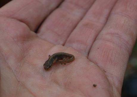 Freeloading Ne’er-do-wells