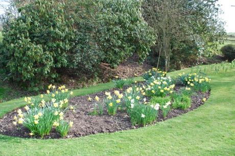 Beds, Bums* and Borders