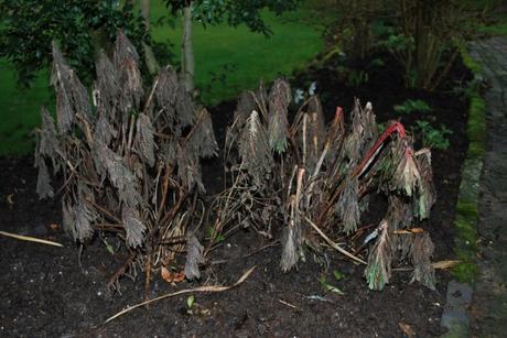 A Real Pretty Display