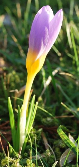 Perks Must Be About It.