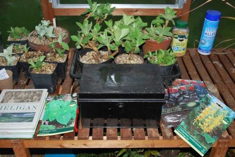 Perks Must Be About It.