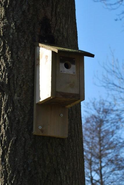 Misty Springy Warmy Sunshine