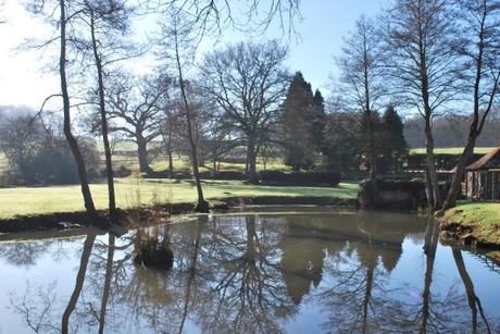 Misty Springy Warmy Sunshine