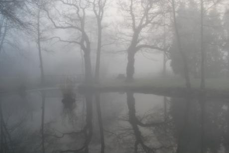 Misty Springy Warmy Sunshine