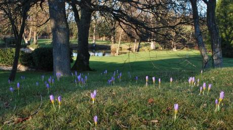Misty Springy Warmy Sunshine
