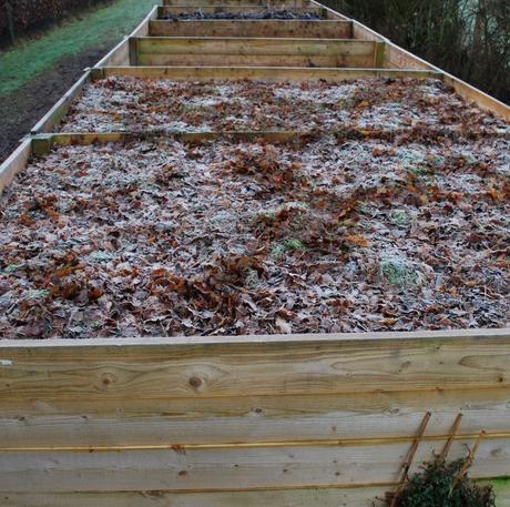 Compost, Compost and Yet More Compost