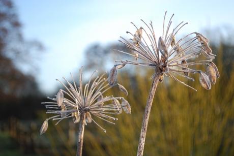 Frost, Sunshine And Blood