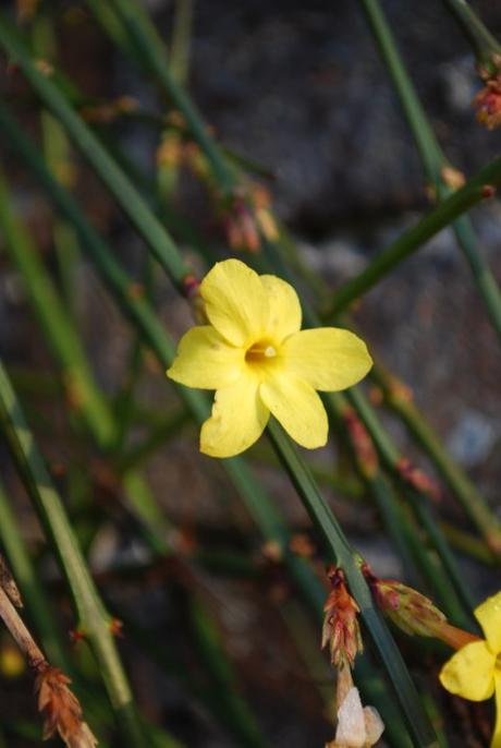 Frost, Sunshine And Blood