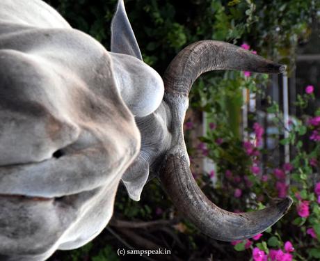 பார்வையின் ஜாடையில் தோன்றிடும் ஆசை ! ~ perceptions at 6 and 60 !!! பார்வையின் ஜாடையில் தோன்றிடும் ஆசை ! ~ perceptions at 6 and 60 !!!